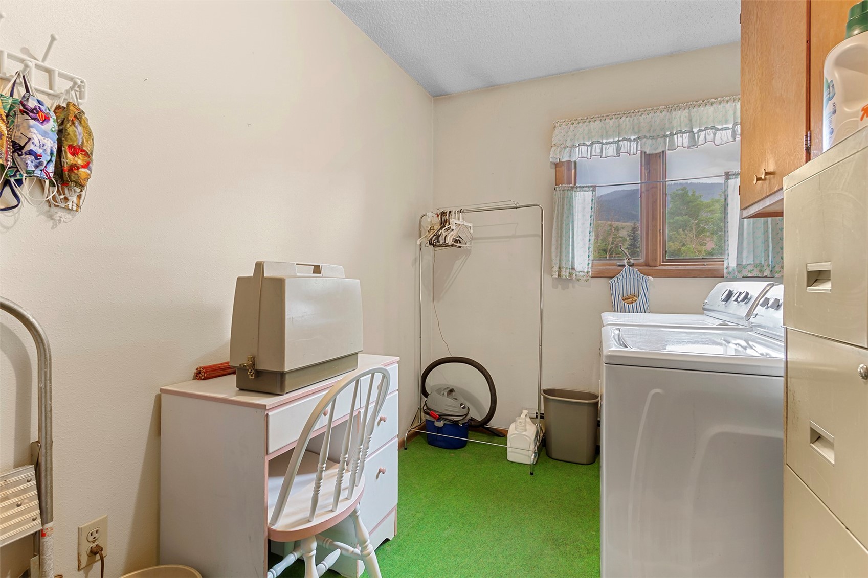 857 Deer Path Road Dillon, CO 80435 - Photo 27 of 29 a view of storage and utility room with washer and dryer