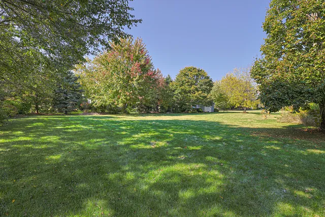 a yard with lots of green space