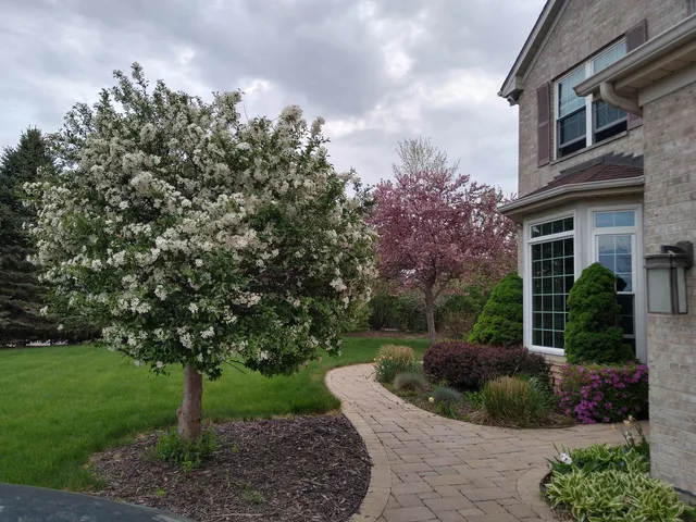 a backyard of a house with barbeque and wooden fence