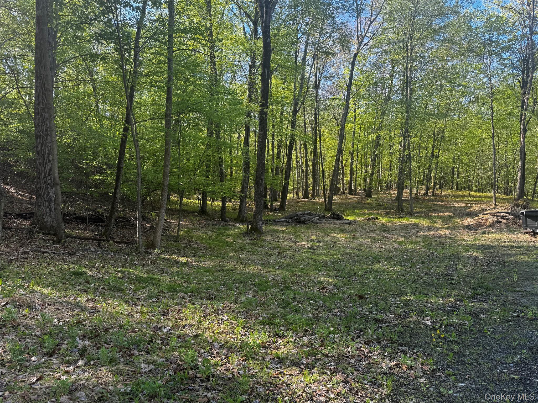 Hall Hill Road Ancram, NY 12502 - Photo 8 of 11 a view of outdoor space with trees