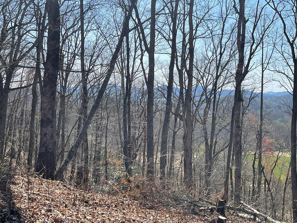 22-m 26m Ridges Hayesville, NC 28904 - Photo 2 of 6