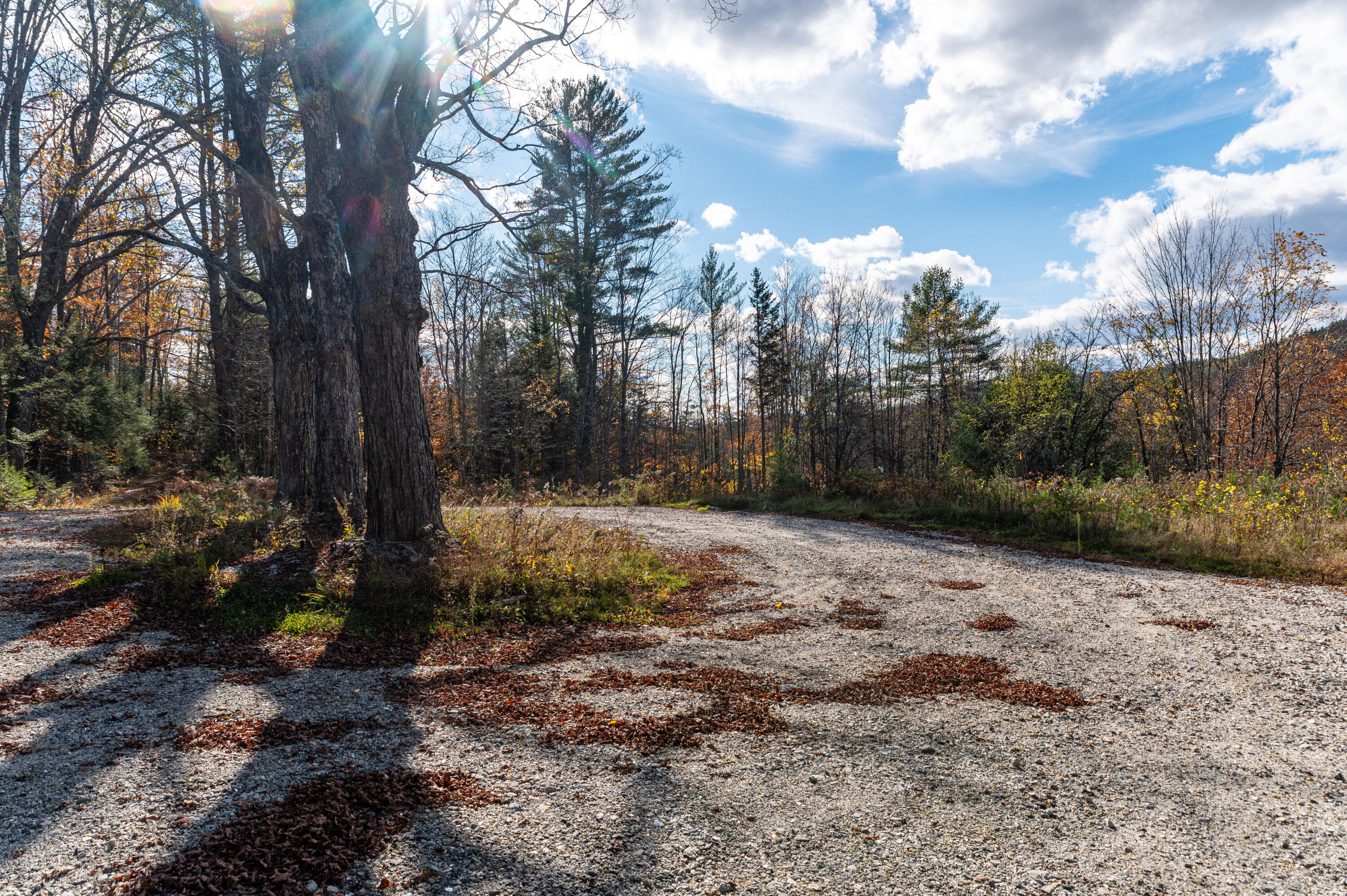 Lot 1 Green Road Waterford, ME 04088 - Photo 6 of 33 Circular Driveway