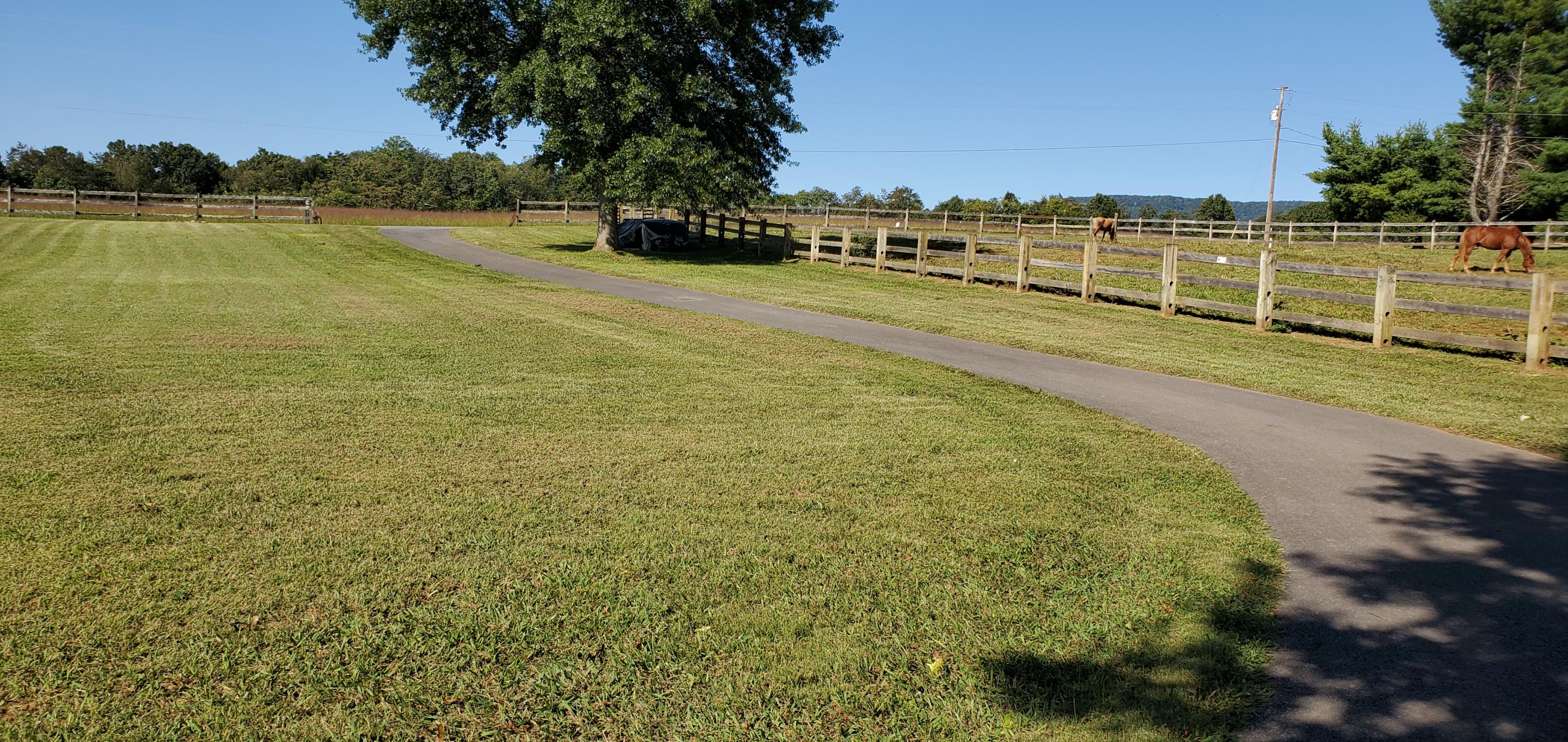2454 Doe Road Newport, TN 37821 - Photo 27 of 28 Looking towards enterance of property