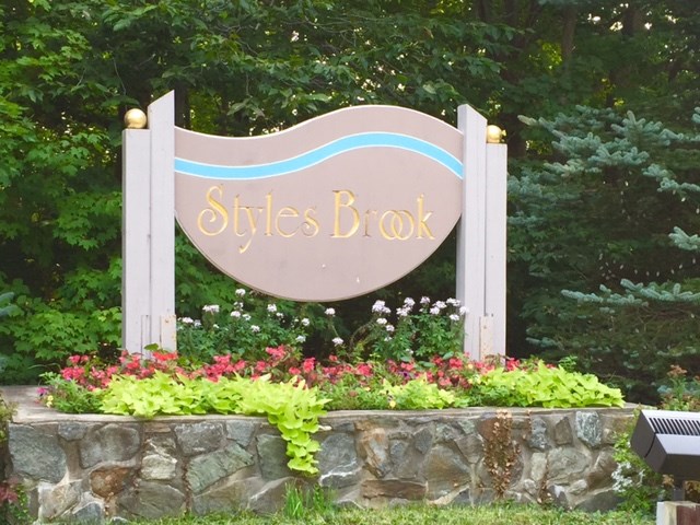 14 Styles Brook Stratton, VT 05360 - Photo 2 of 31