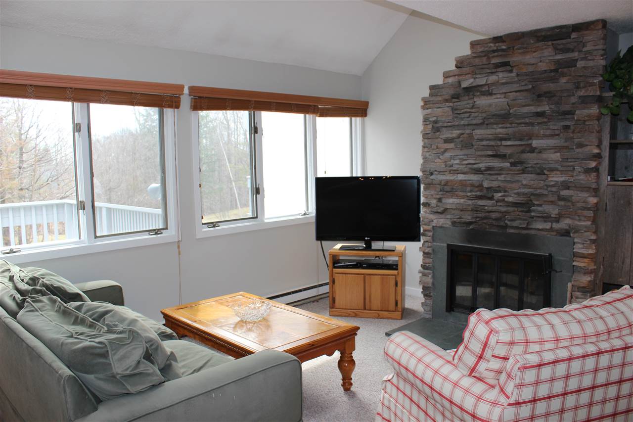 14 Styles Brook Stratton, VT 05360 - Photo 6 of 31