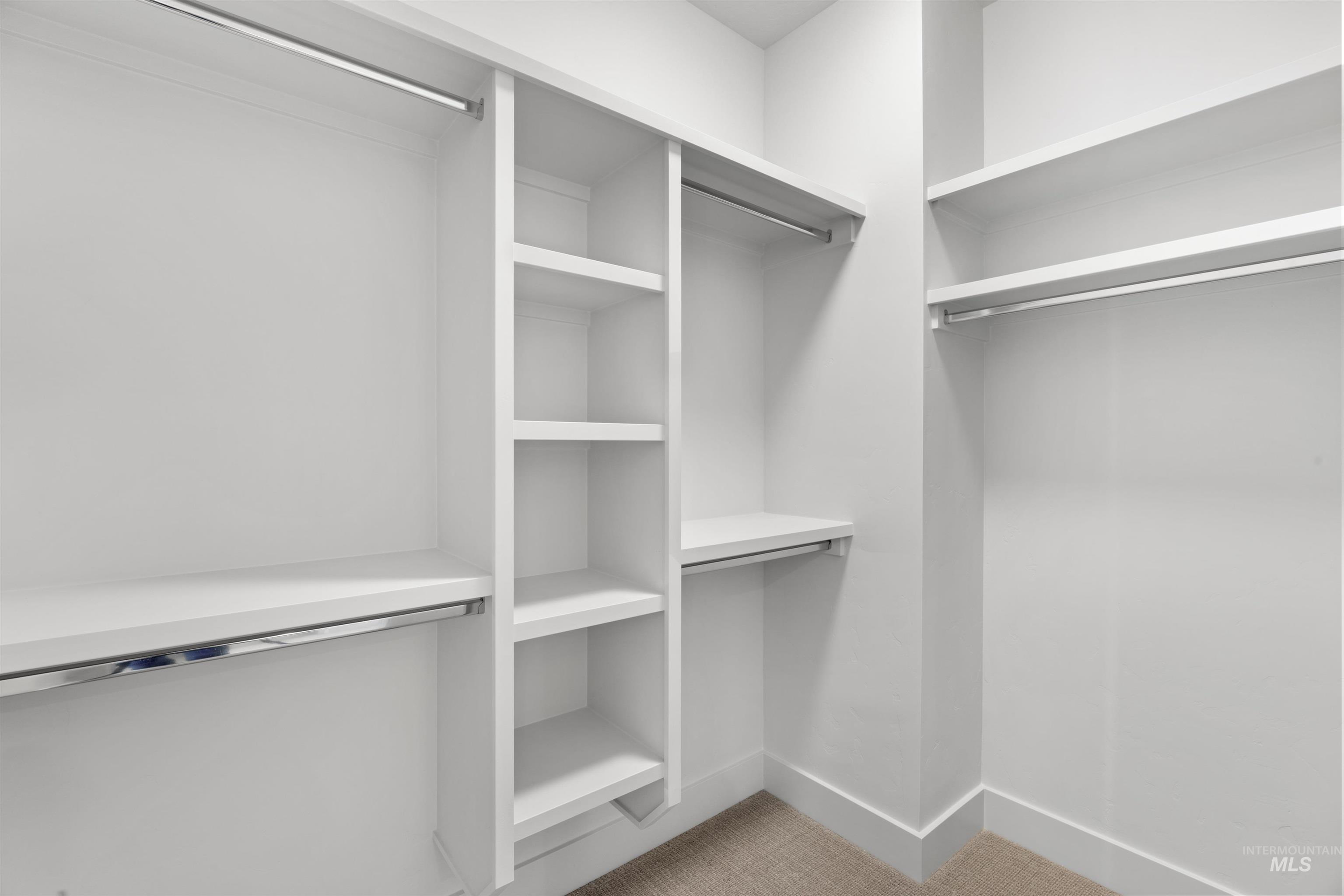 3282 South Millbrook Way Boise, ID 83716 - Photo 33 of 45 Walk in closet featuring carpet floors