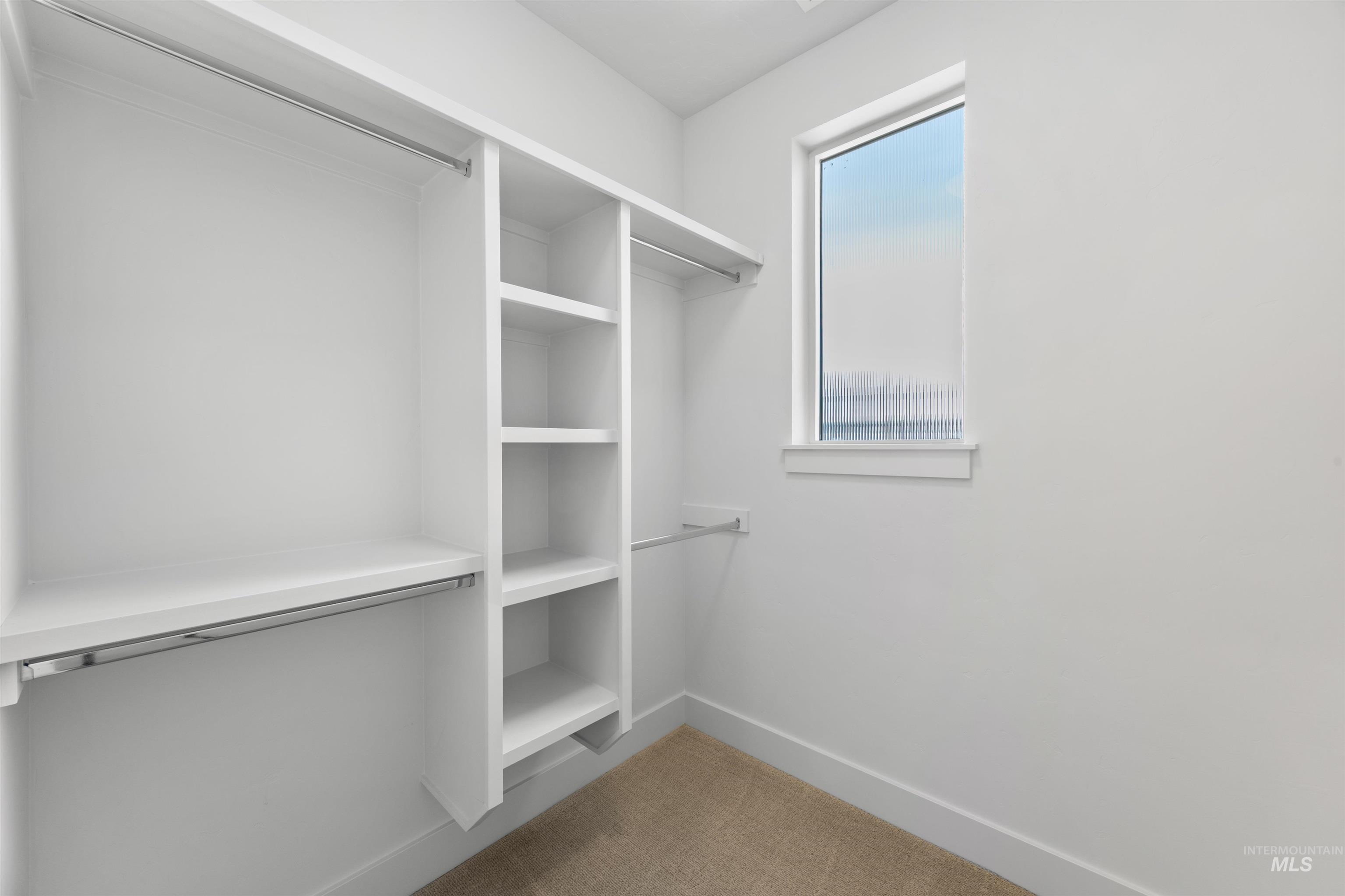 3282 South Millbrook Way Boise, ID 83716 - Photo 34 of 45 Walk in closet featuring light carpet