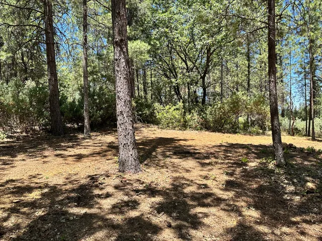 a view of a yard with trees