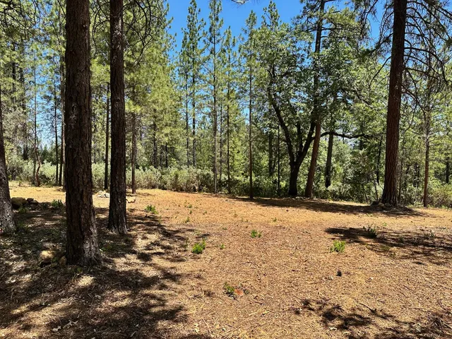 a view of a yard with a tree
