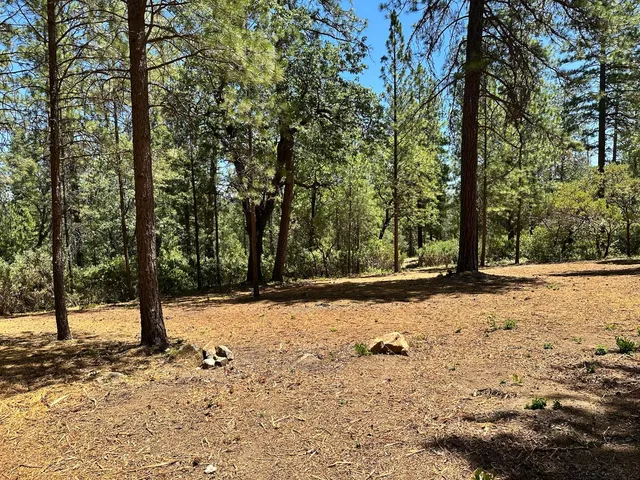 a view of a snow on the side of the road