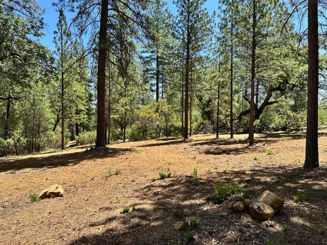a view of road with trees