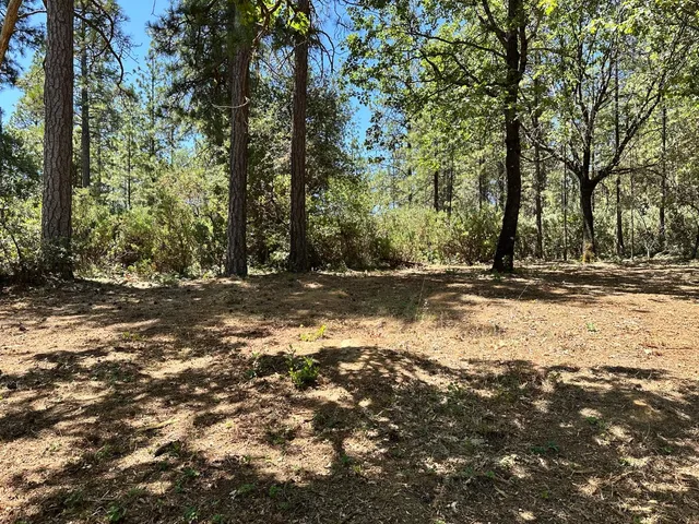 a view of outdoor space with trees