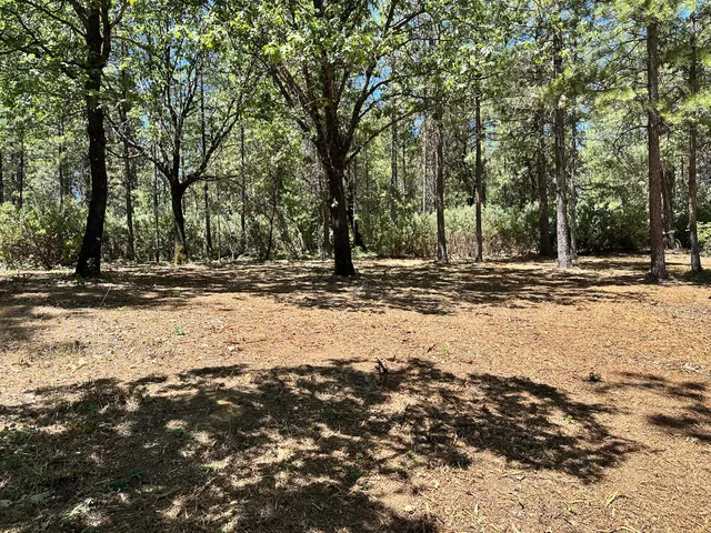 a view of road with trees
