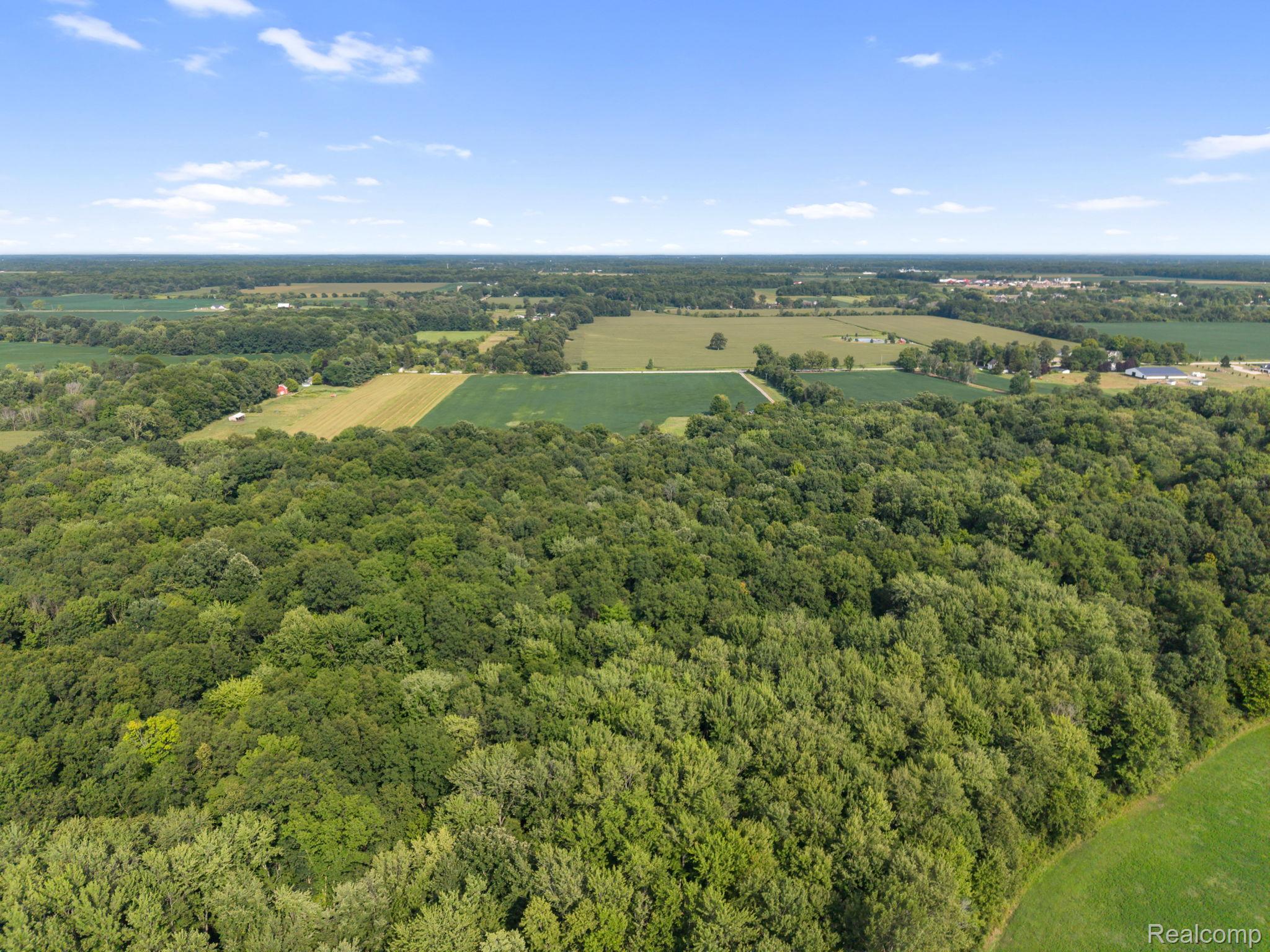 76565 McFadden Road Armada, MI 48005 - Photo 90 of 95 Expansive rural landscape featuring a large wooded area, surrounding agricultural fields, and distant structures