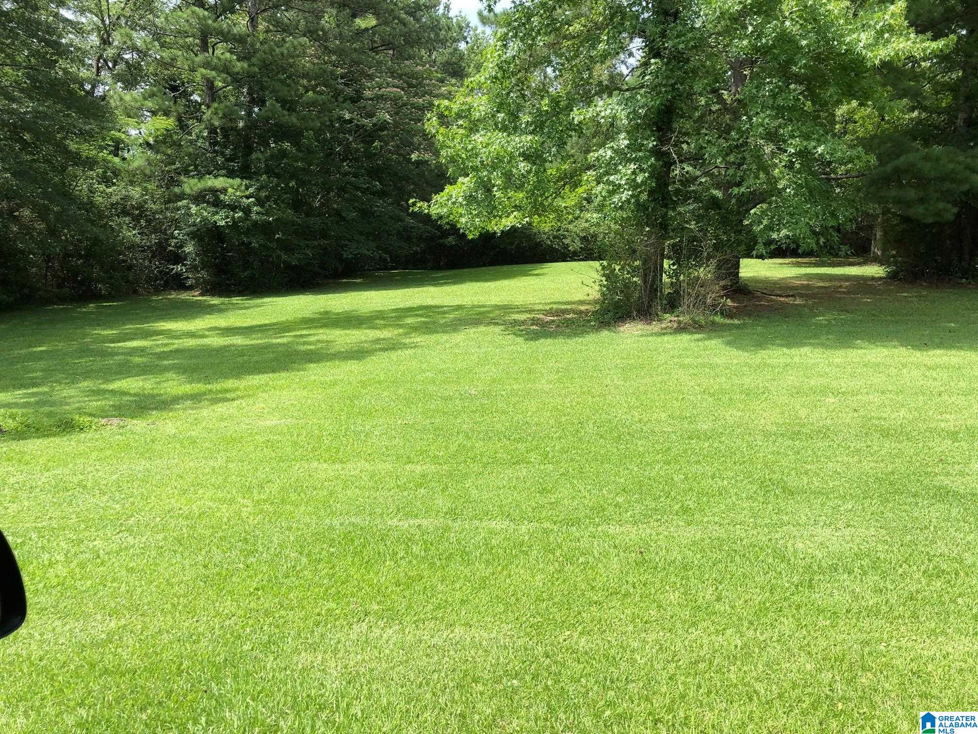 958 Chelsea Road Columbiana, AL 35051 - Photo 6 of 16