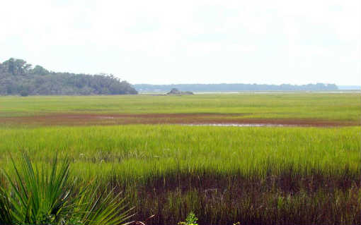 2 Red Cedar Road Fernandina Beach, FL 32034 - Photo 5 of 18 Gallery Image 5