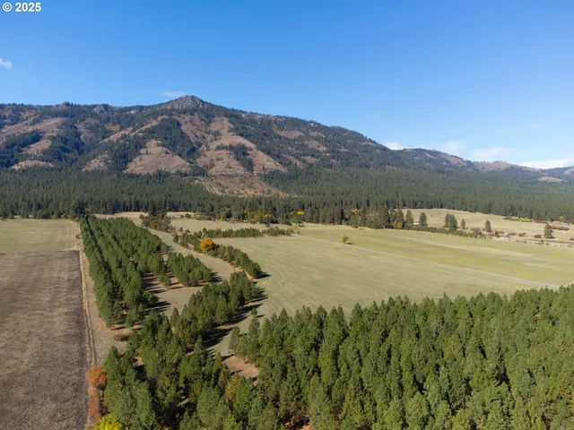 a view of beach and ocean view