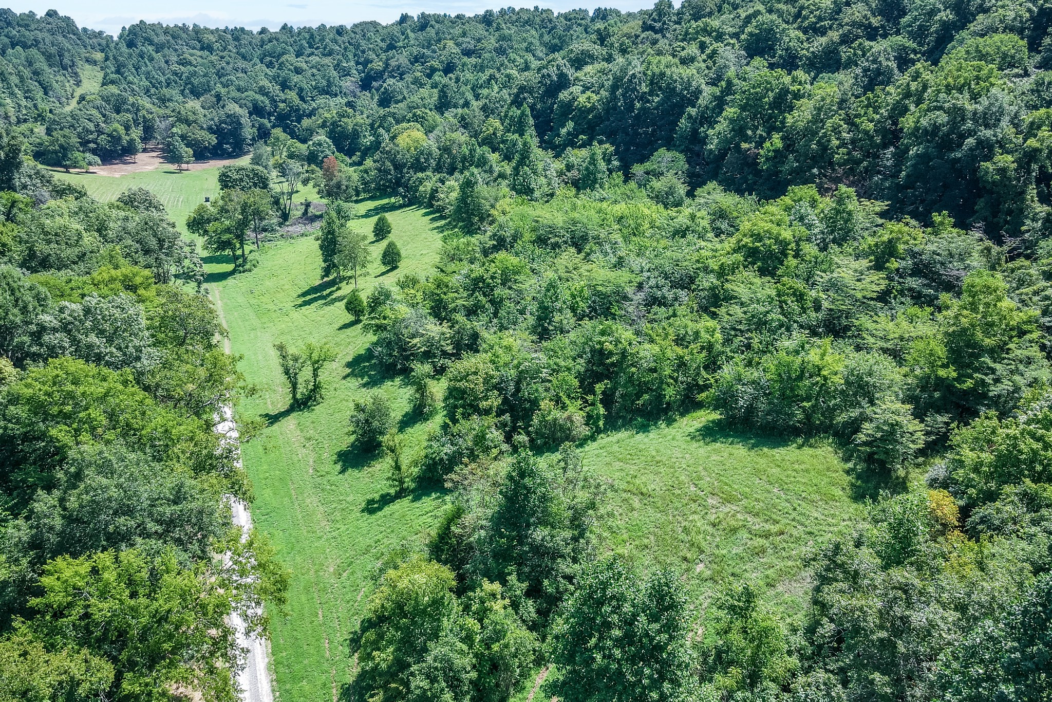 2952 Springplace Road Belfast, TN 37019 - Photo 16 of 45 Gallery Image 16