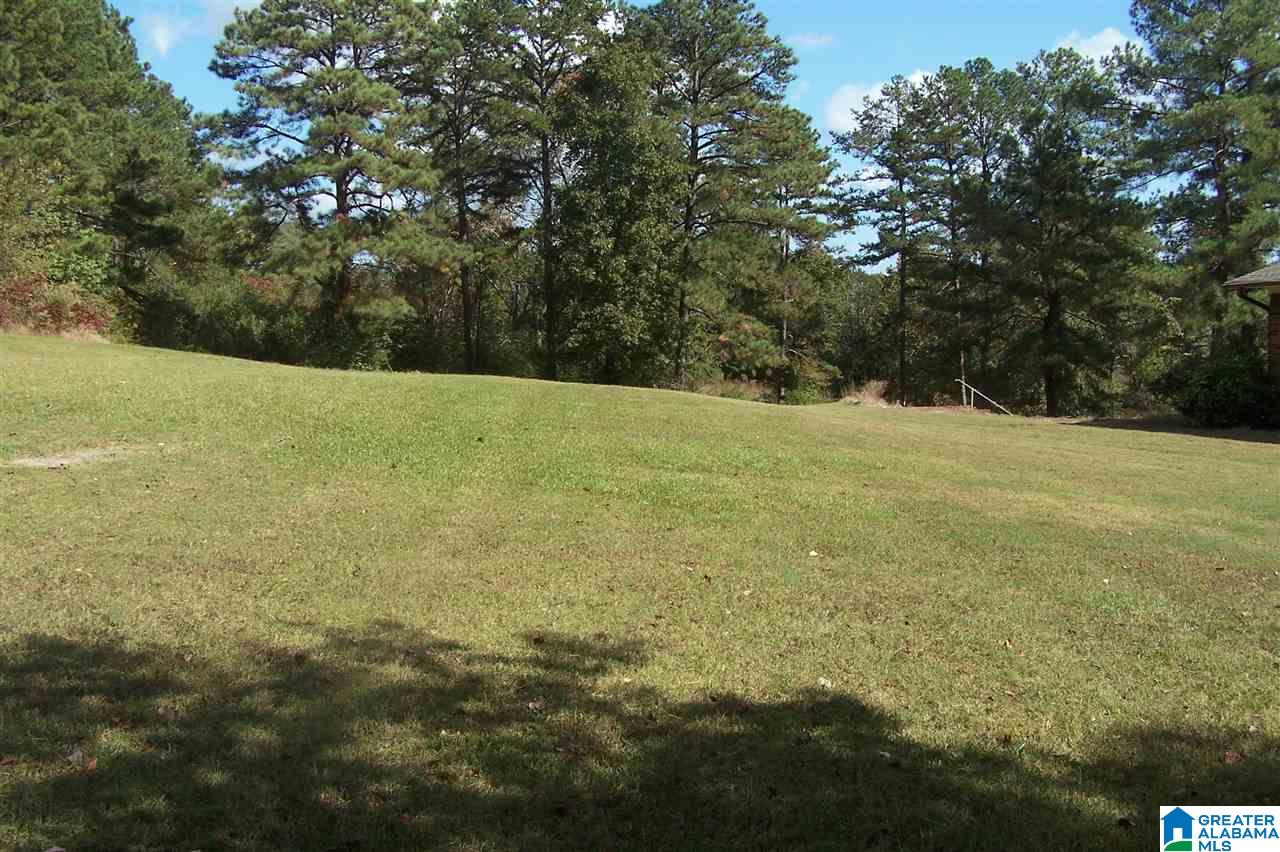 4907 County Road 45 Hayden, AL 35079 - Photo 11 of 28