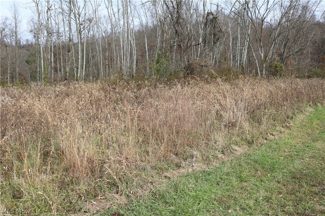 Wolf Rd Port Port Washington, OH 43837 - Photo 5 of 21 Gallery Image 5