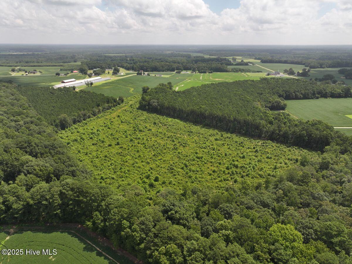 0 Old Mill Road Stantonsburg, NC 27883 - Photo 8 of 41 8
