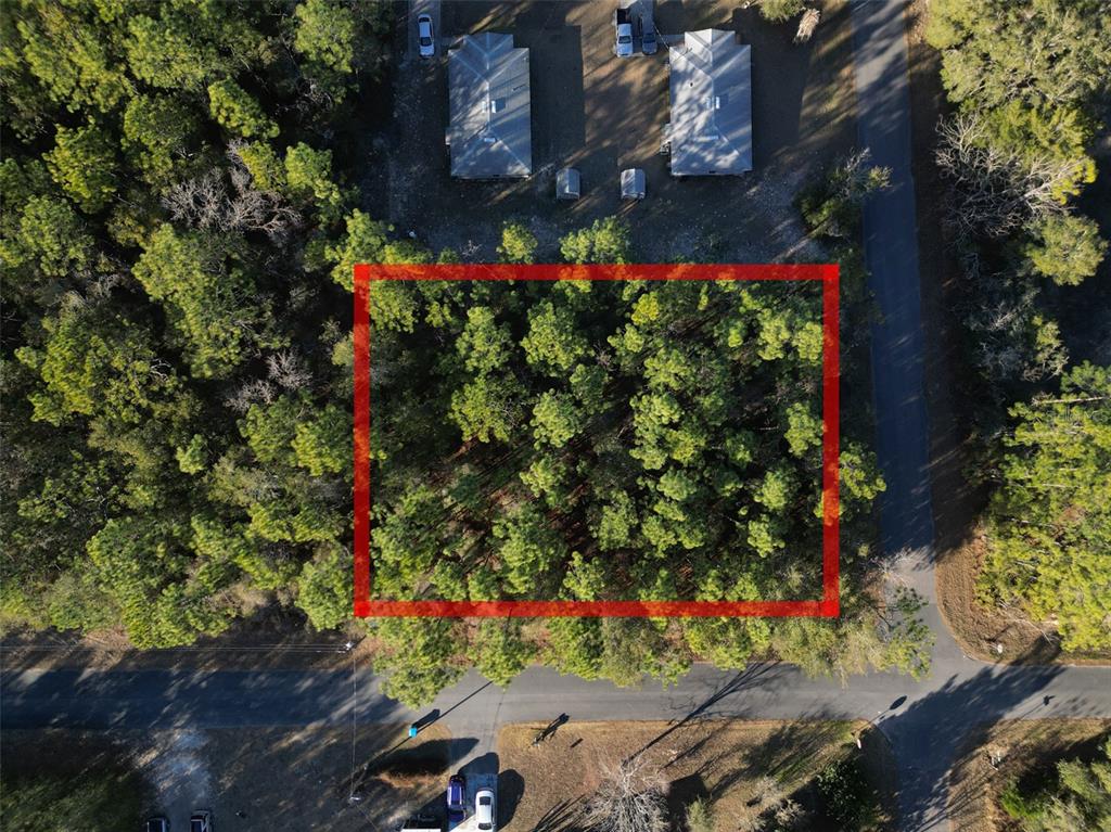3153 East May Street Inverness, FL 34453 - Photo 3 of 5