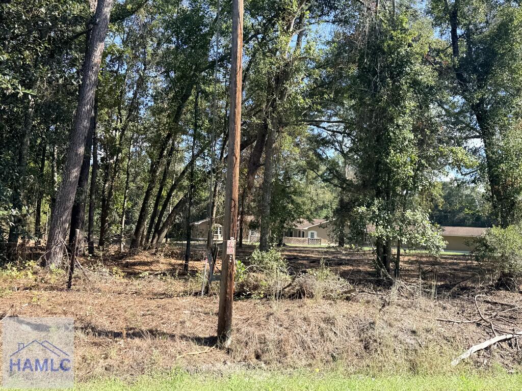 4 Brunswick Street Jesup, GA 31546 - Photo 8 of 10 Gallery Image 8