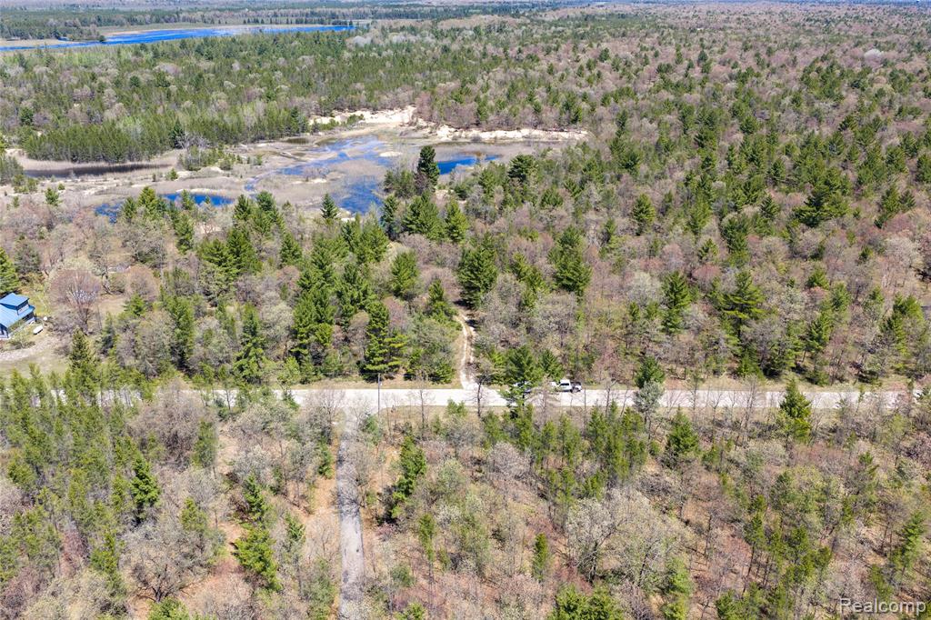 0 Scott Road East Tawas, MI 48730 - Photo 14 of 17