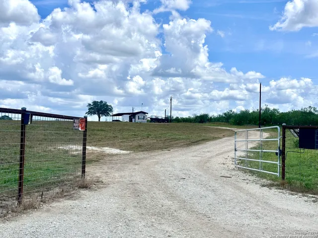 a view of a yard with a tree