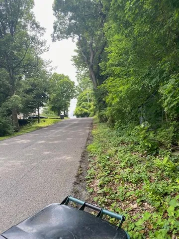 a view of a street with a yard and plants