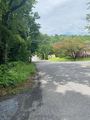 a view of road with grass and trees