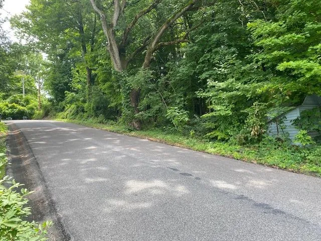 a view of a plants with large trees