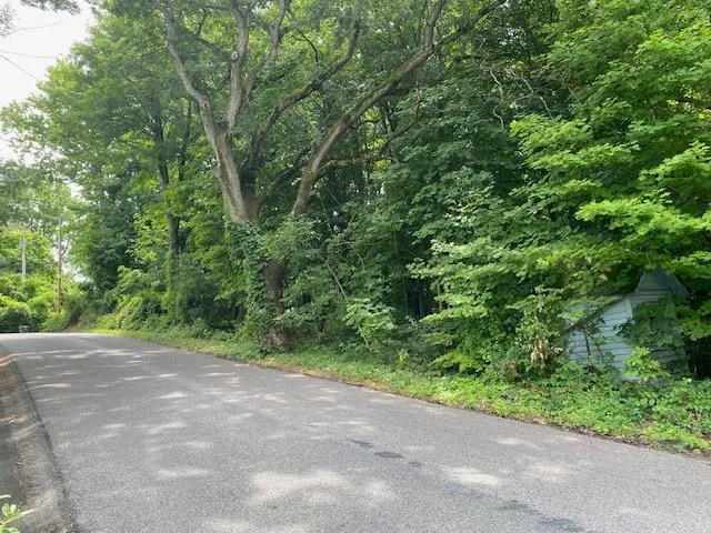 a view of a green field with trees in the background