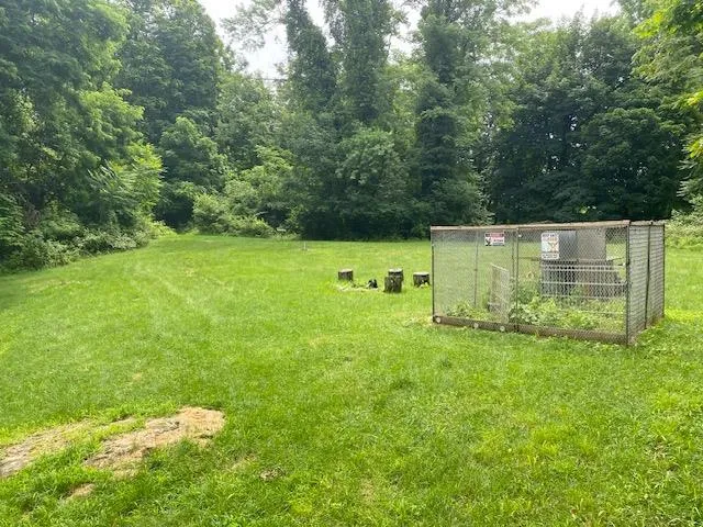 a view of a lush green space