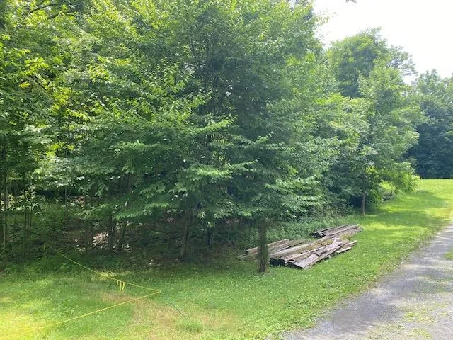 a view of a backyard with a garden