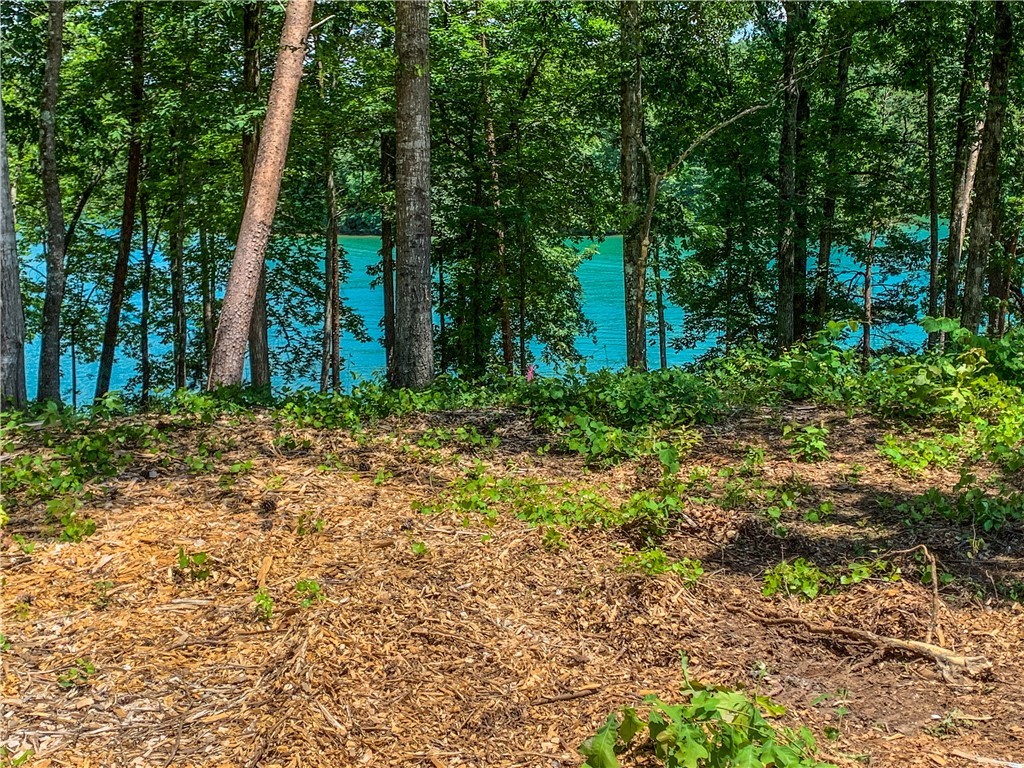 409 Peninsula Ridge Sunset, SC 29685 - Photo 3 of 21 Gallery Image 3
