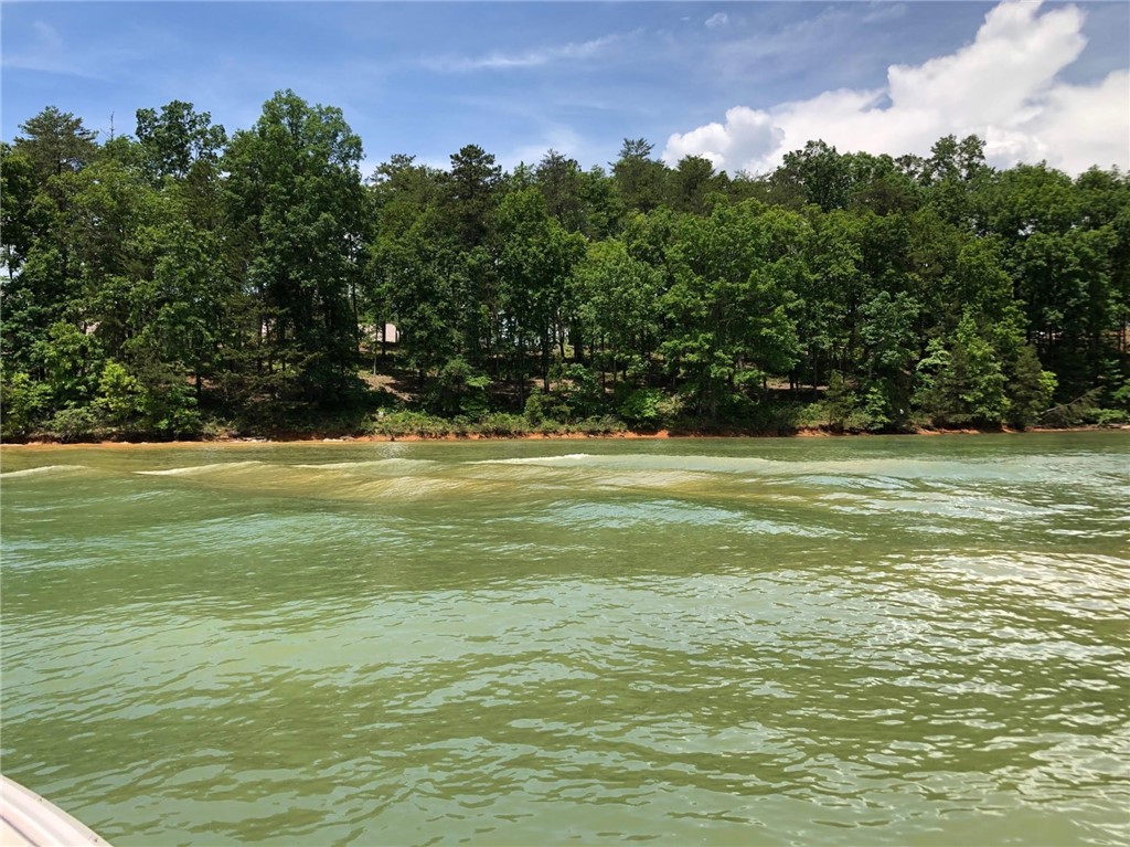 409 Peninsula Ridge Sunset, SC 29685 - Photo 7 of 21 View of lot P54 from Lake Keowee.