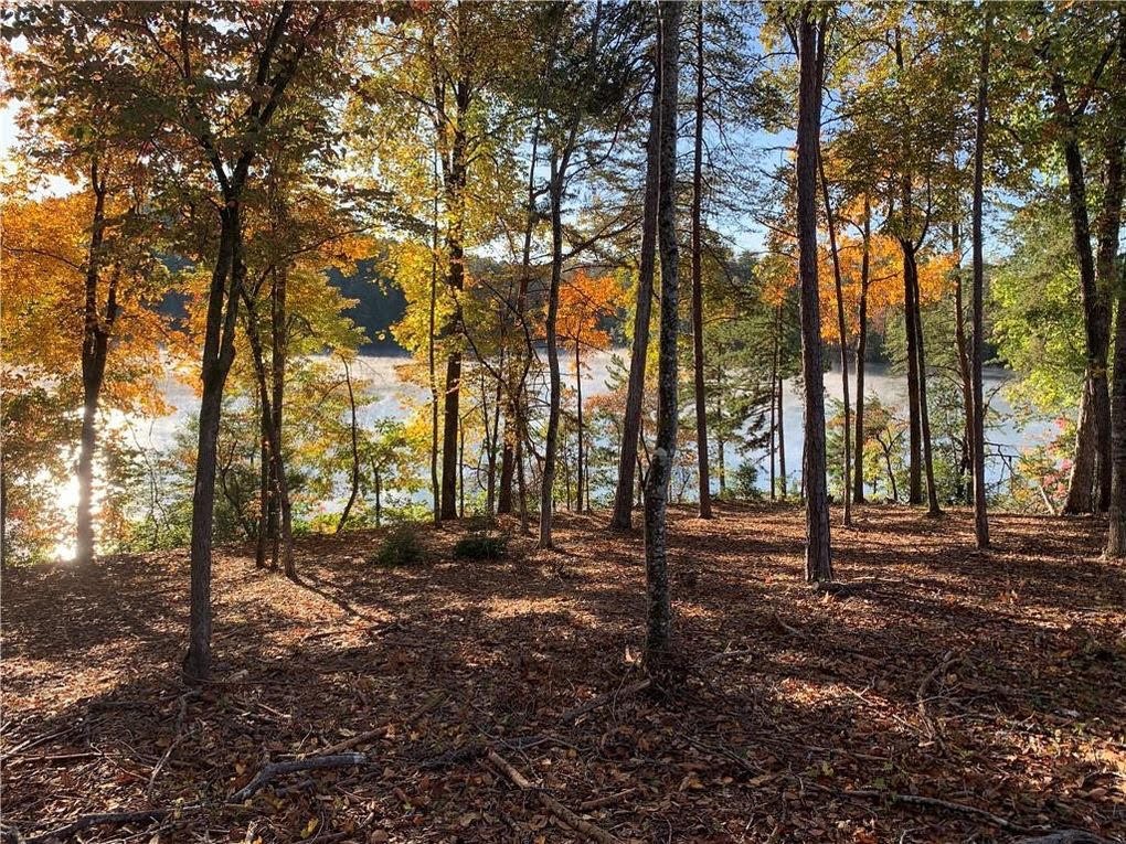 409 Peninsula Ridge Sunset, SC 29685 - Photo 8 of 21 Gallery Image 8