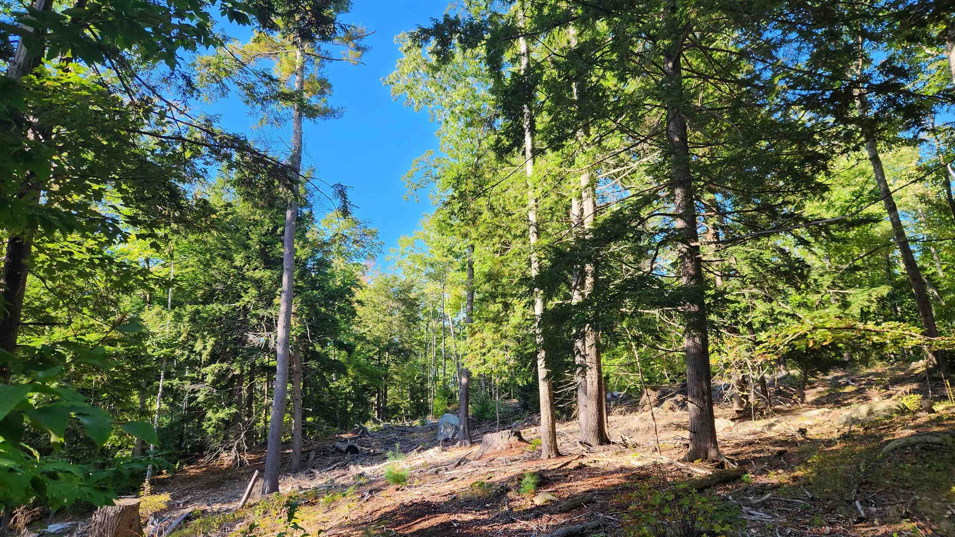 Tbd Bennett Road New Durham, NH 03855 - Photo 2 of 18
