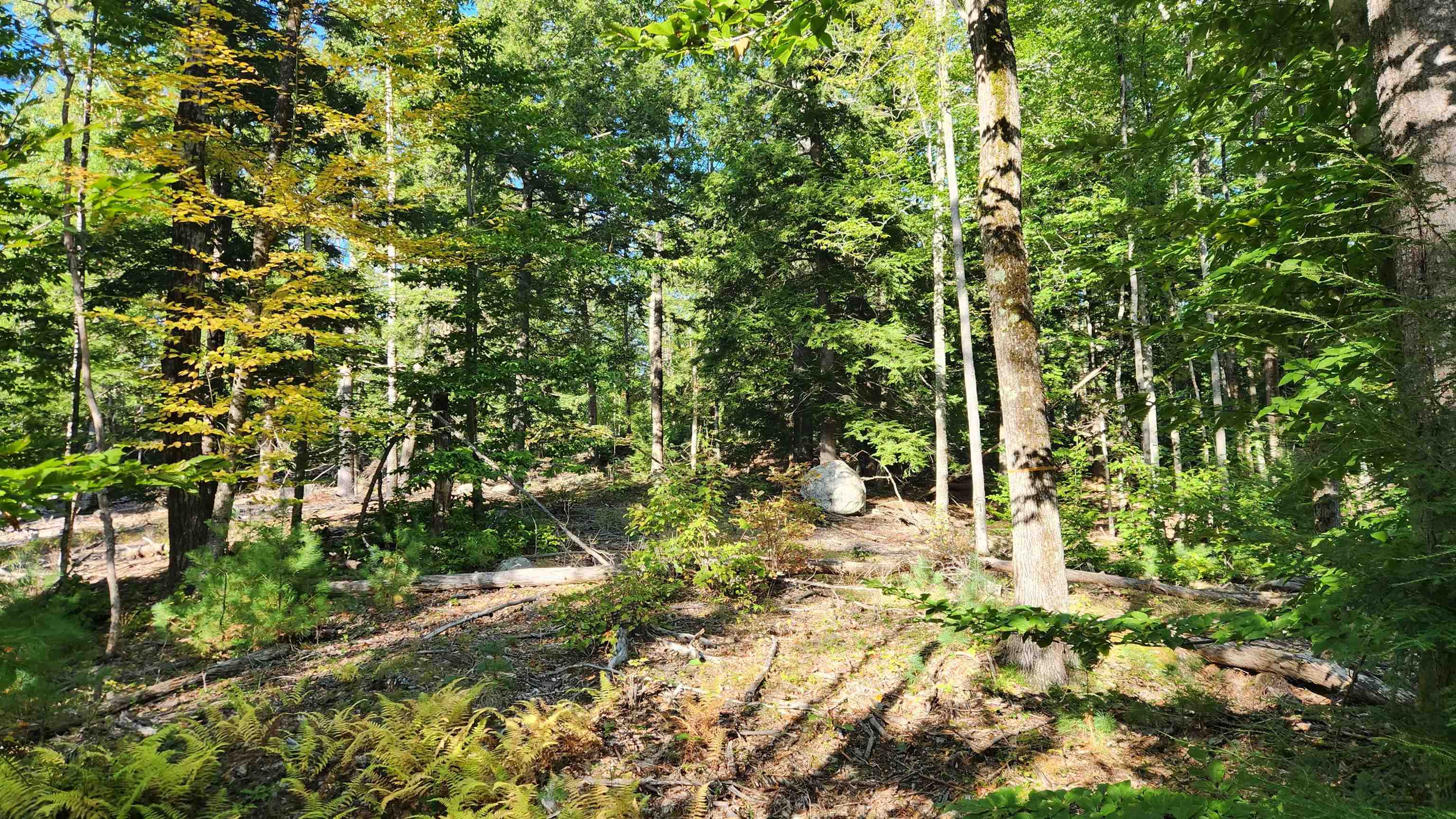 Tbd Bennett Road New Durham, NH 03855 - Photo 3 of 18