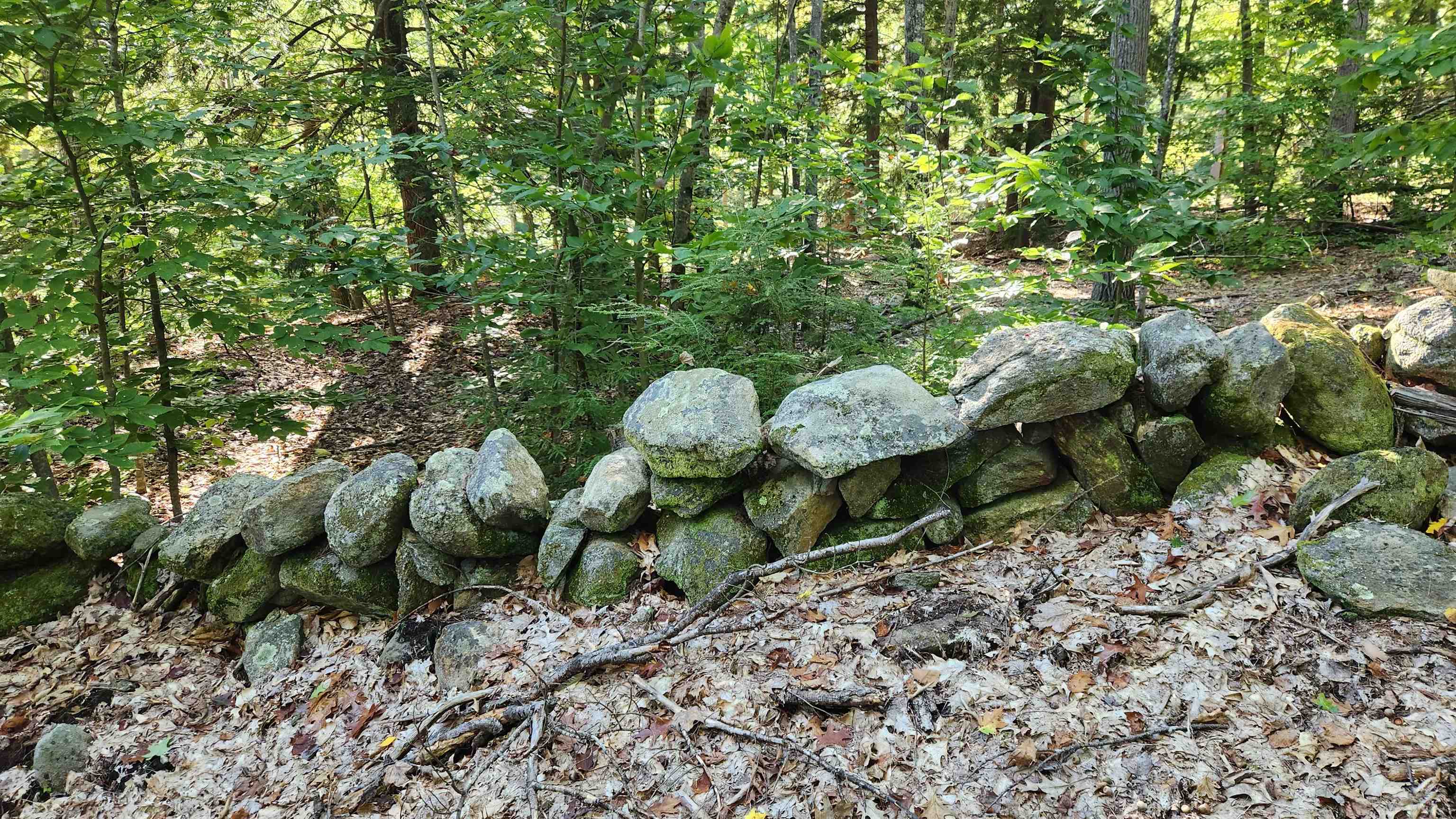 Tbd Bennett Road New Durham, NH 03855 - Photo 5 of 18