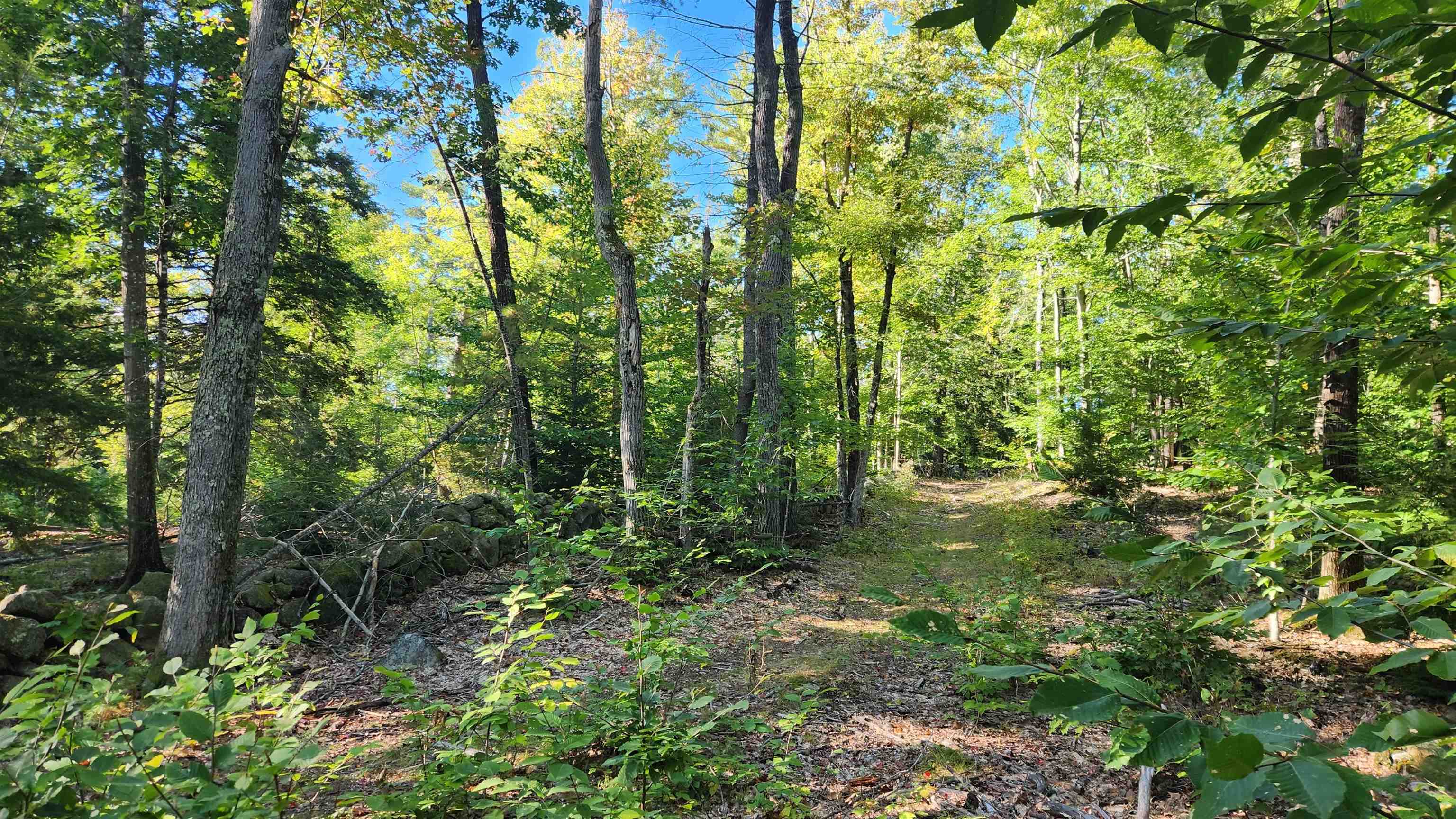 Tbd Bennett Road New Durham, NH 03855 - Photo 7 of 18