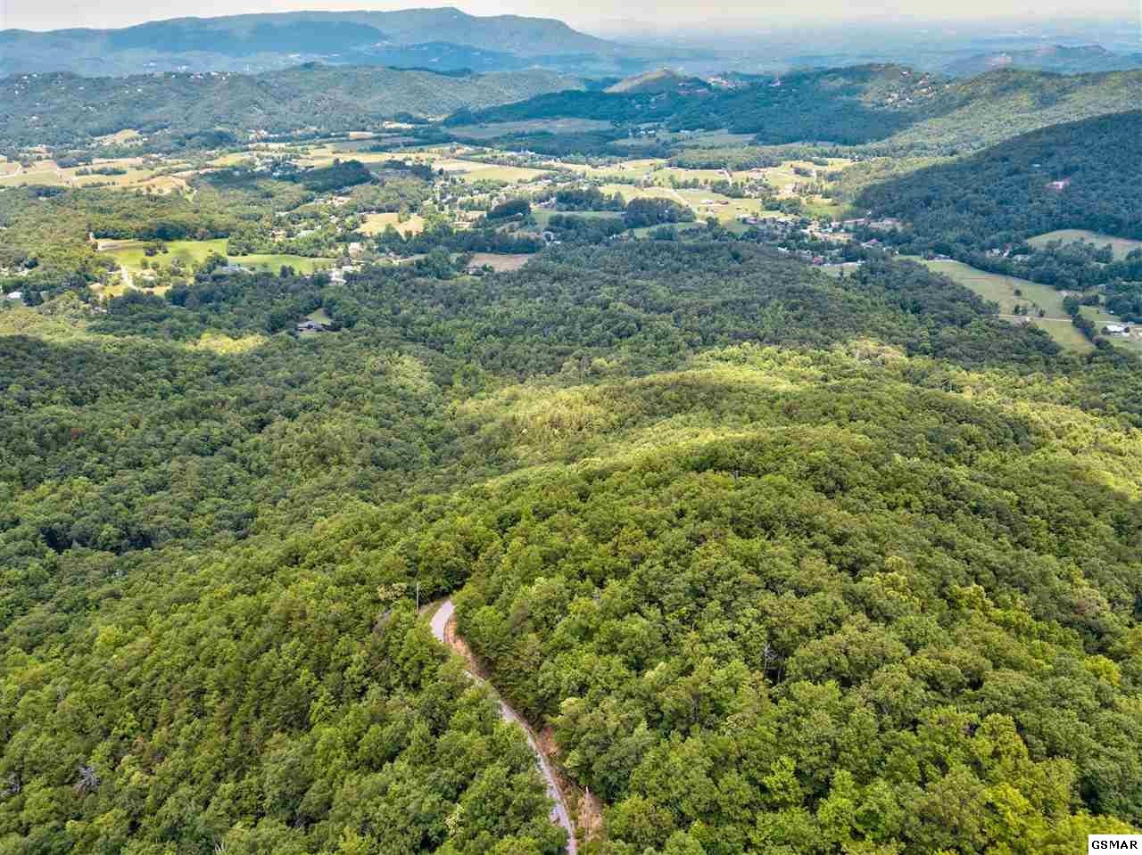21 Cove Mountain Road Sevierville, TN 37862 - Photo 16 of 21 Gallery Image 16