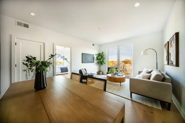 a living room with furniture and a potted plant