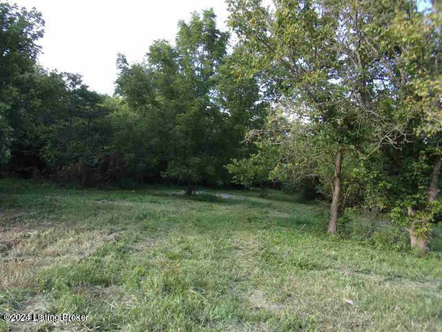 175 Drake Ridge Road Bloomfield, KY 40008 - Photo 16 of 16 20200810225547734243000000-o