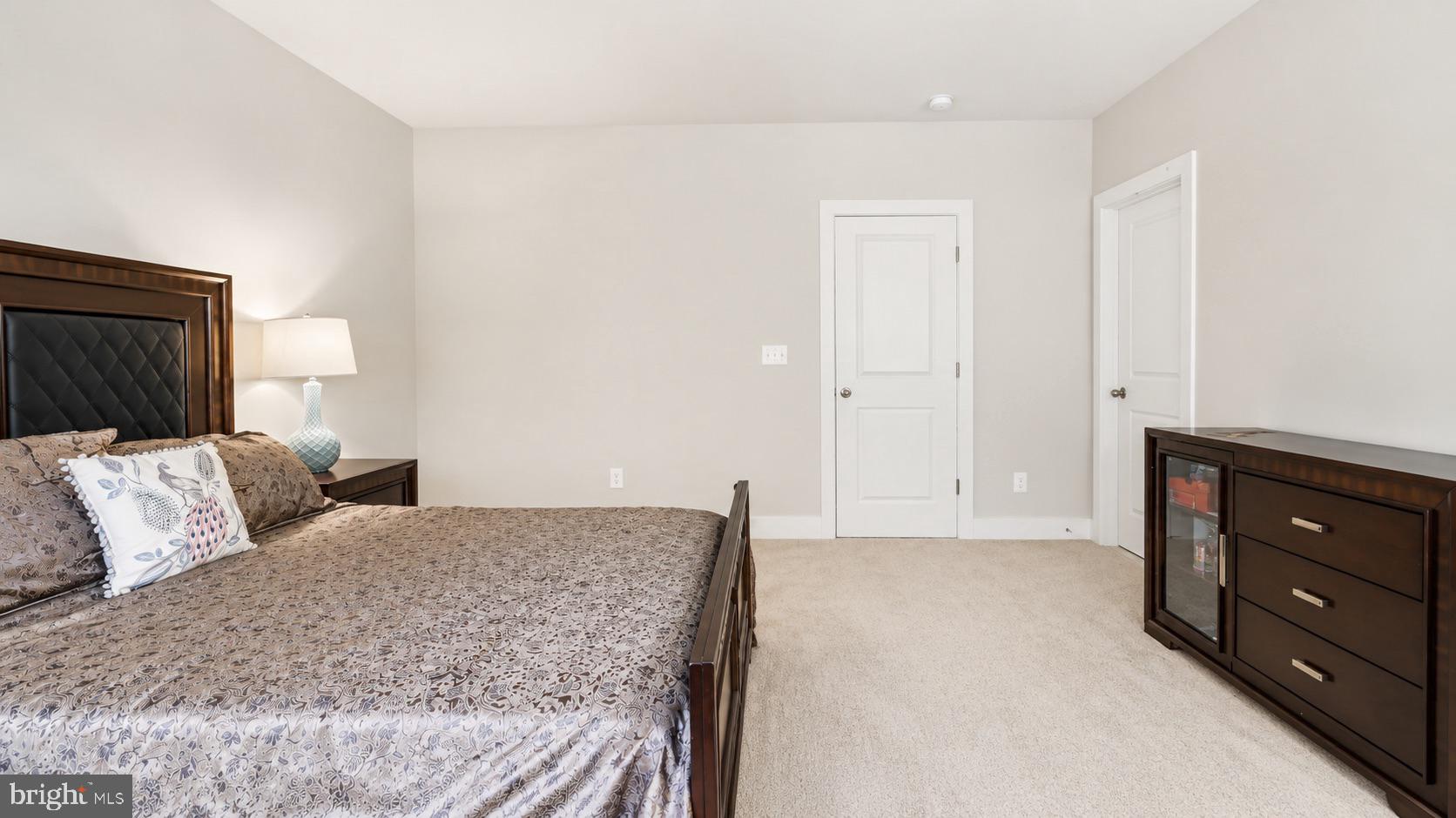 23609 Roselle Ridge Lane Aldie, VA 20105 - Photo 58 of 75 Serene bedroom with modern elegance.