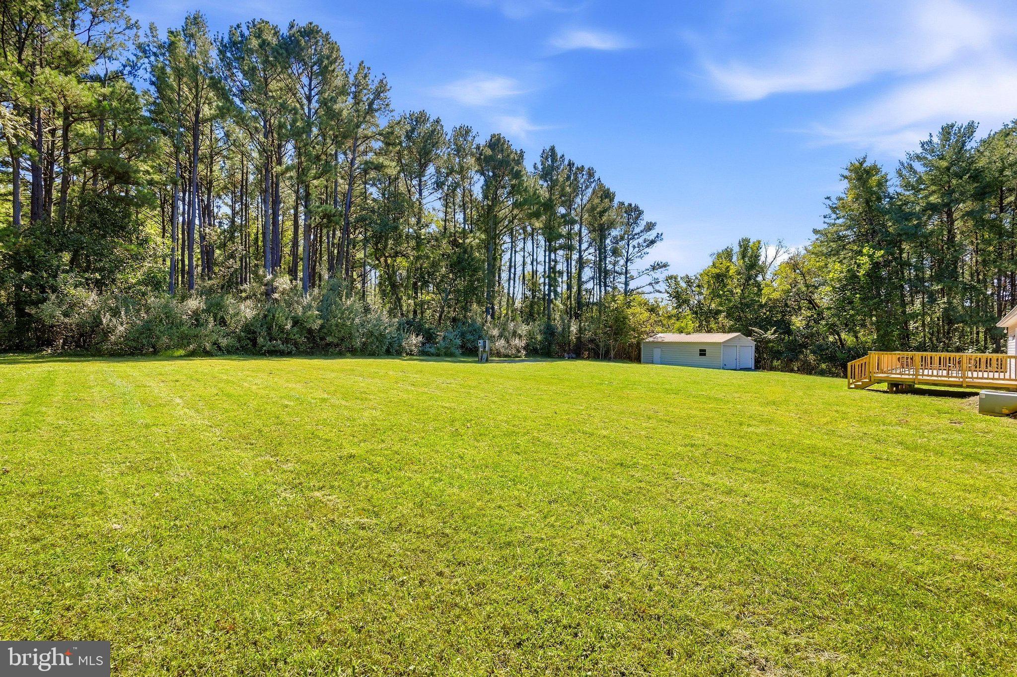 2983 Old Winchester Road Boyce, VA 22620 - Photo 53 of 98 Enjoy all outdoor activities and sports here.