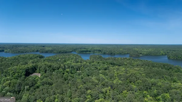an aerial view of a field with trees