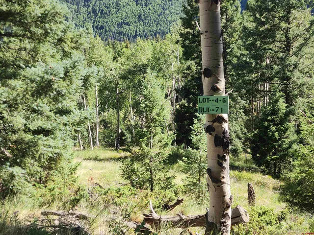 a view of a garden with plants