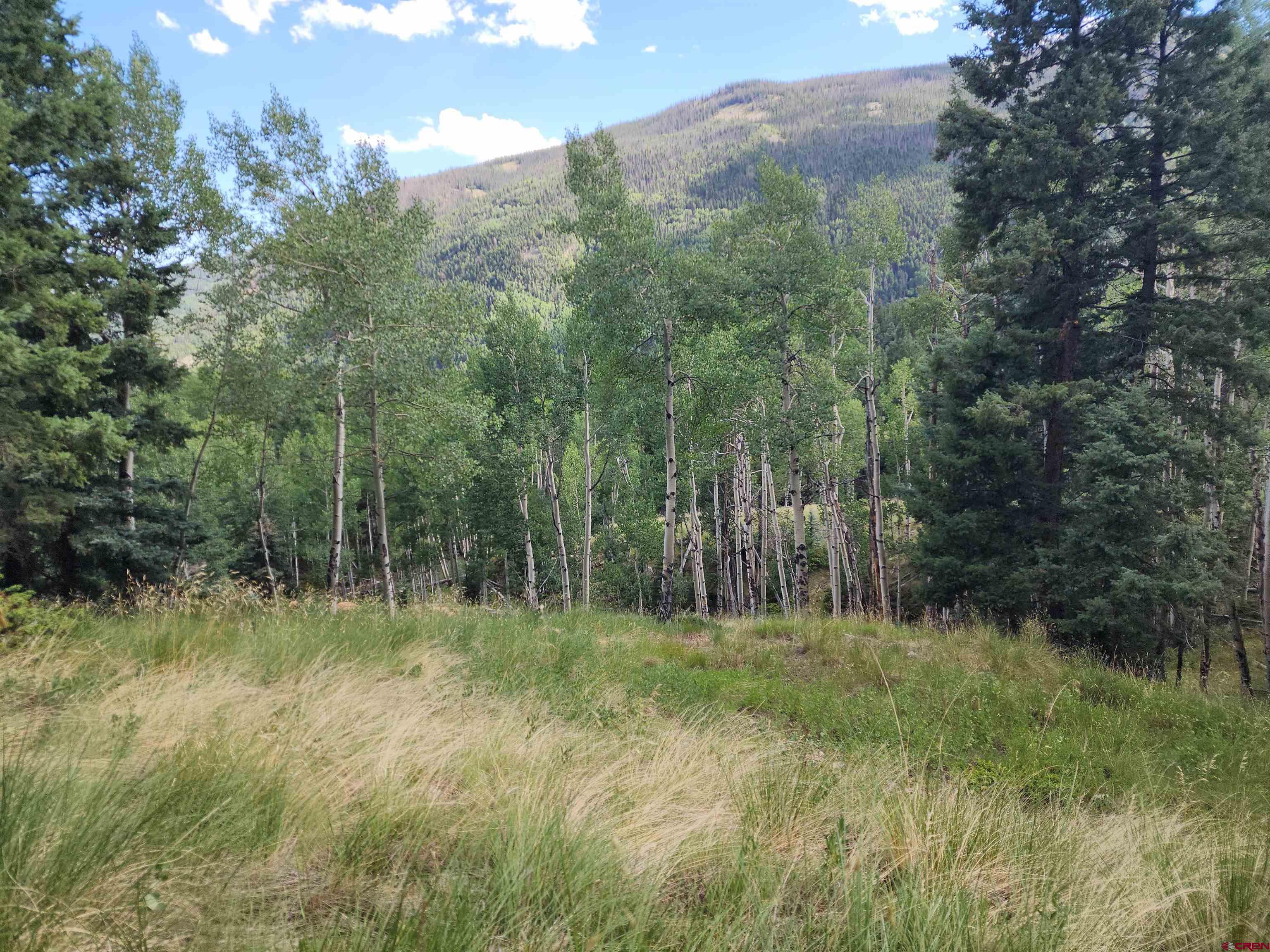 71 Lots 4-6 Del Norte, CO 81132 - Photo 3 of 6 a view of outdoor space with green field and trees all around